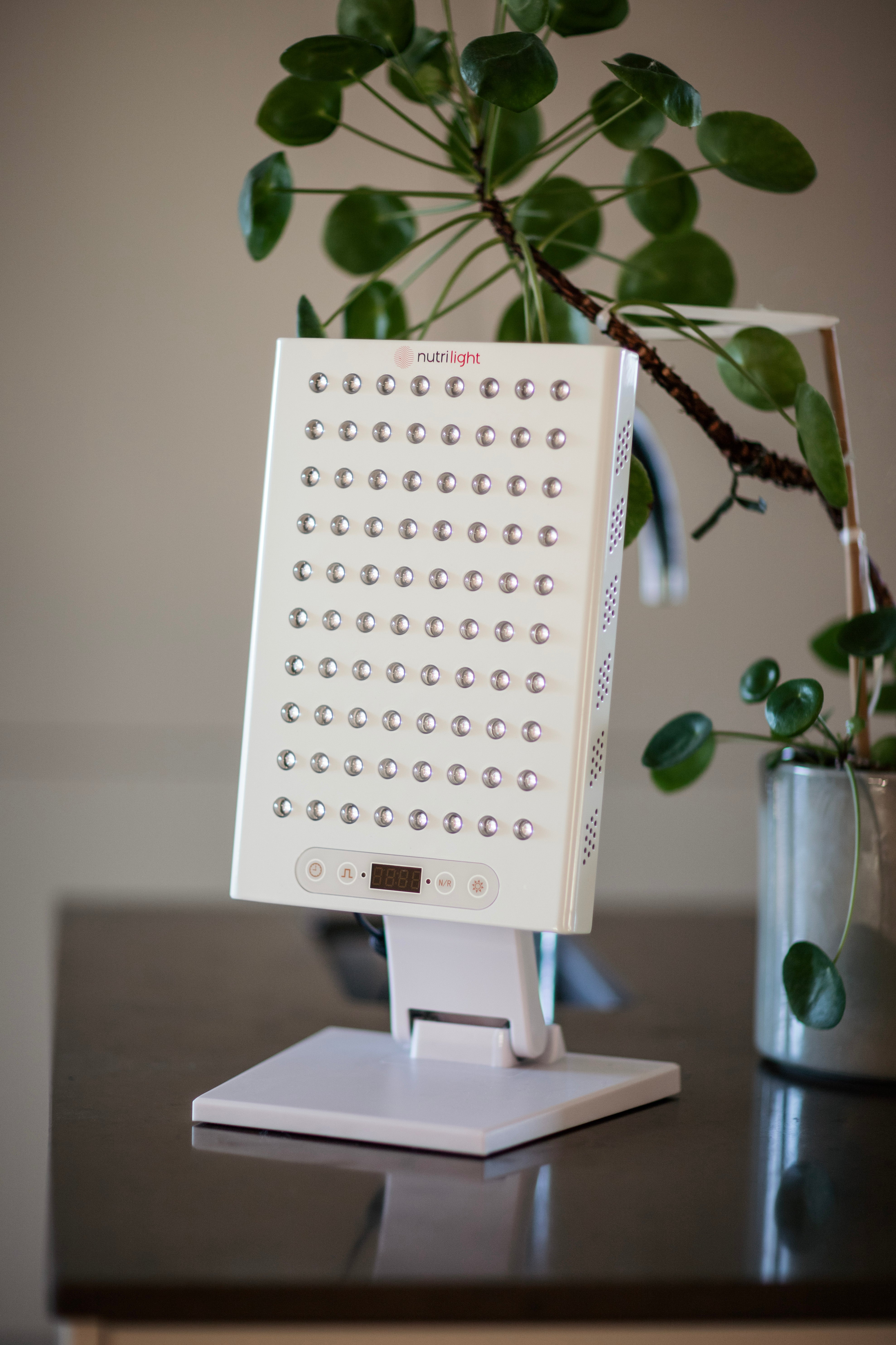 The Fox Red Light Lamp 400 Watt