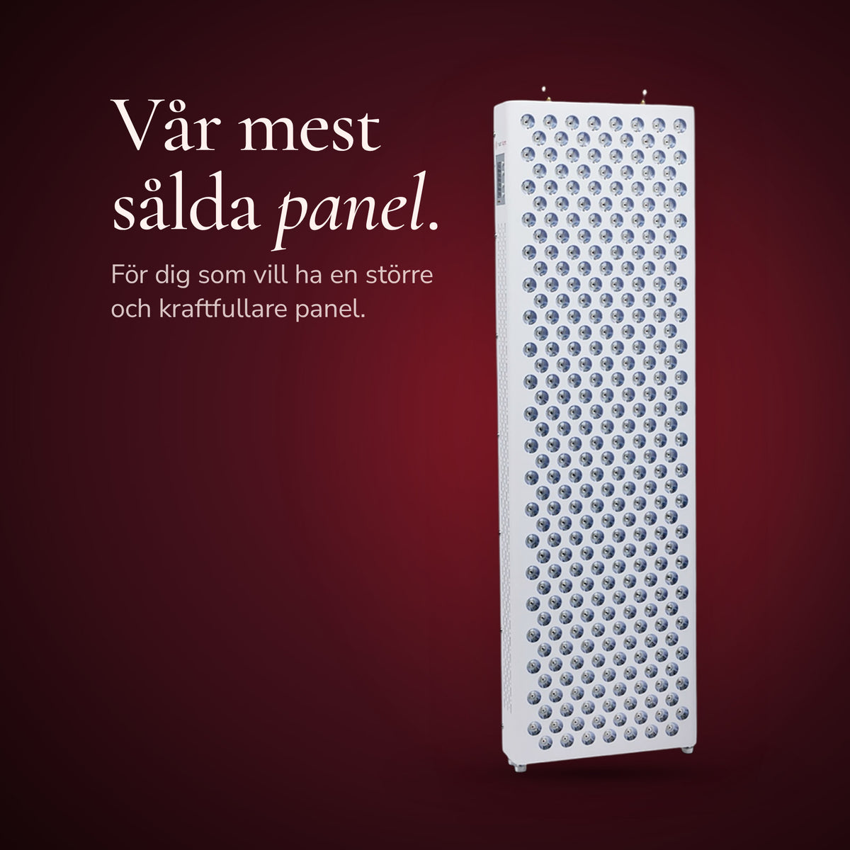 The Red Deer mot en mörk vinröd bakgrund. Vår mest sålda panel, för dig som vill ha en större och kraftfullare panel.