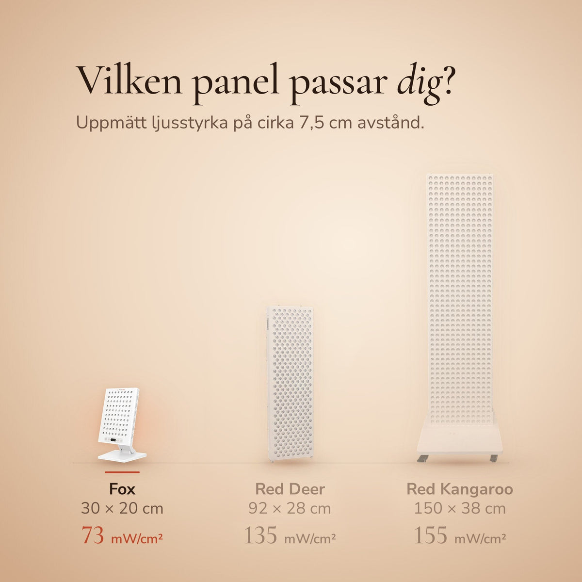 Sammenligning af størrelsen på The Fox, The Red Deer og The Red Kangaroo med mål og målt lysstyrke. The Fox er 30 × 20 cm med 73 mW/cm².